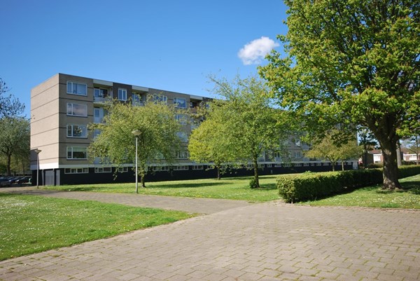 Ruygeplaat 153, Rozenburg